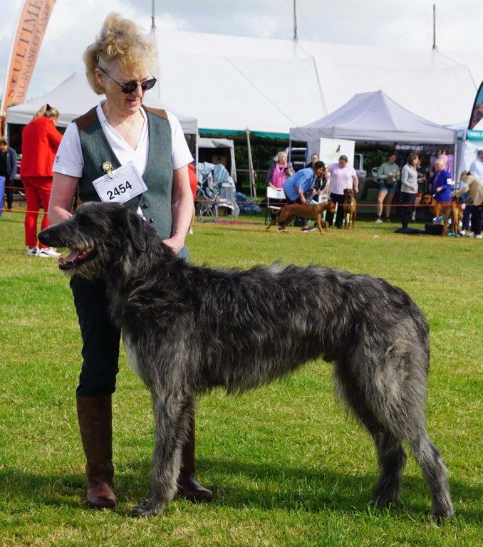 Humbiehounds Pirnmill at Coronach